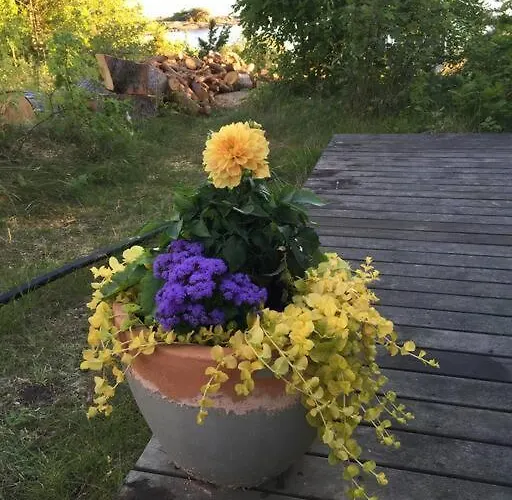 With Own Beach, Seaterrace & Pavillion. Holiday home